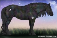 Horse Color:Midnight Black Ice 