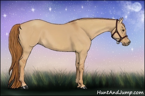 Horse Color:Red Dun and Red Dun