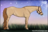 Horse Color:Red Dun and Red Dun