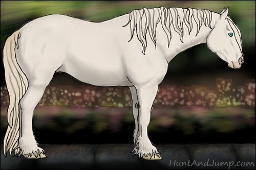 Horse Color:Smoky Creme 