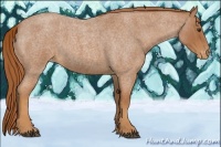 Horse Color:Red Roan Varnish 