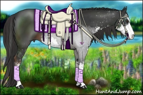 Horse Color:Liver Chestnut Sabino