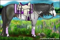 Horse Color:Liver Chestnut Sabino 