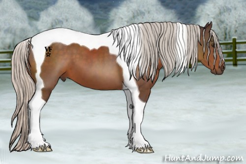 Horse Color:Silver Brown Tobiano 