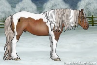 Horse Color:Silver Brown Tobiano