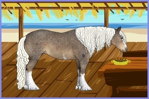 Horse Color:White Spotted Liver Chestnut 