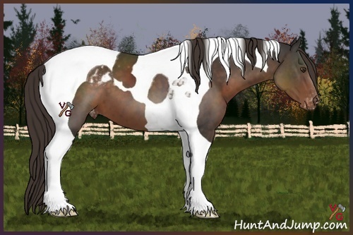 Horse Color:Liver Chestnut Tobiano Appaloosa 