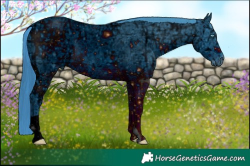 Horse Color:ERROR: UNKNOWN ANOMALY