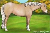 Horse Color:Silver Brown Pearl Sabino