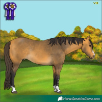 Horse Color:Buckskin Rabicano