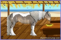 Horse Color:Liver Chestnut Ice Tobiano