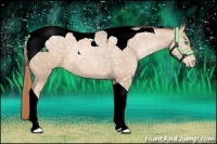 Horse Color:Buckskin Ice Pearl Tobiano