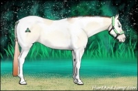 Horse Color:Buckskin Pearl Onyx Tobiano 