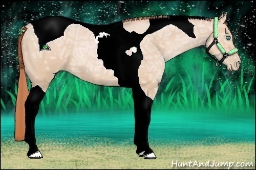 Horse Color:Buckskin Ice Pearl Tobiano 