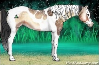 Horse Color:Buckskin Ice Onyx Sabino Splash Tobiano