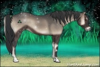 Horse Color:Blue Onyx