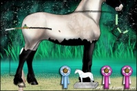 Horse Color:Smoky Blue Onyx Ice Pearl Sabino Splash