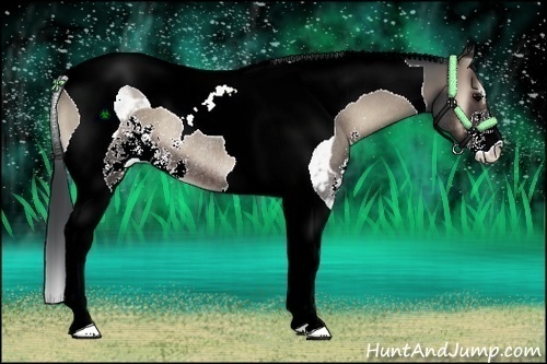 Horse Color:Blue Onyx Sabino Tobiano Rabicano