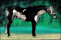 Horse Color:Blue Onyx Sabino Tobiano Rabicano