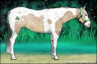 Horse Color:Brown Ice Dun Splash Tobiano Rabicano 