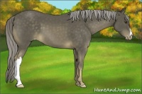 Horse Color:Chocolate Palomino Mushroom Varnish