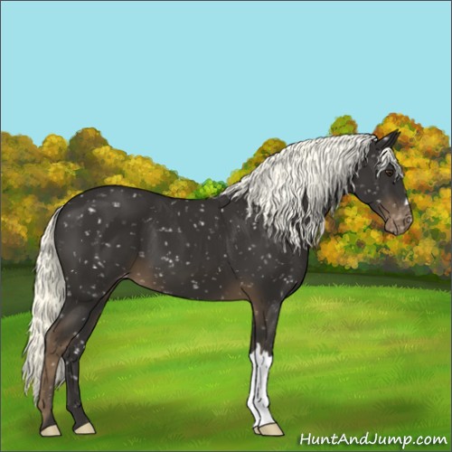 Horse Color:Liver Chestnut Mushroom Snowflake Varnish