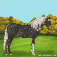 Horse Color:Liver Chestnut Mushroom Snowflake Varnish 