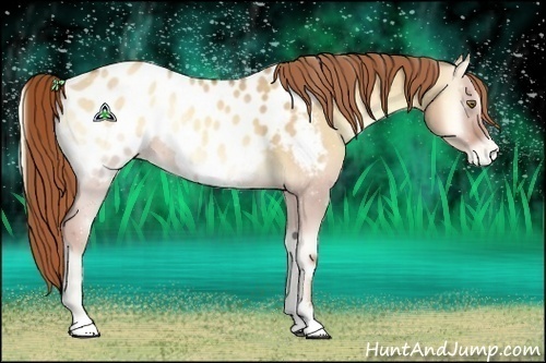 Horse Color:Gold Champagne Onyx Sabino Blanket Rabicano