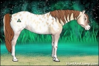 Horse Color:Gold Champagne Onyx Sabino Blanket Rabicano