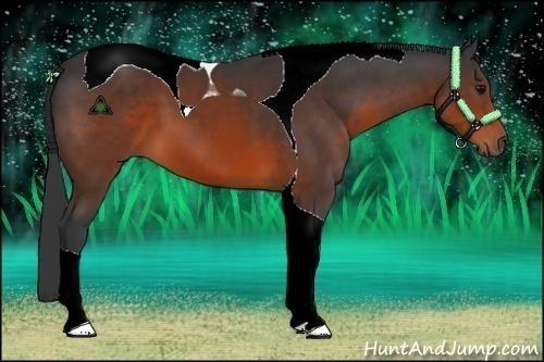 Horse Color:Brown Sabino Tobiano
