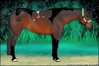 Horse Color:Brown Sabino Tobiano 