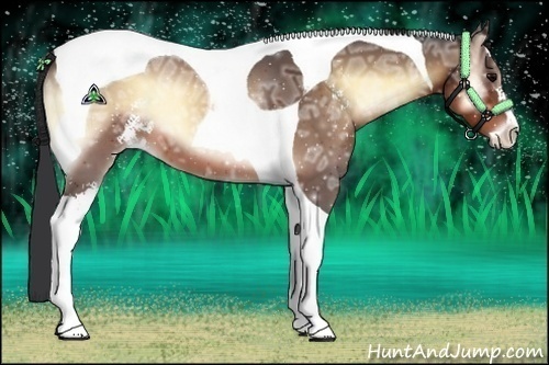 Horse Color:Brown Ice Onyx Sabino Tobiano 