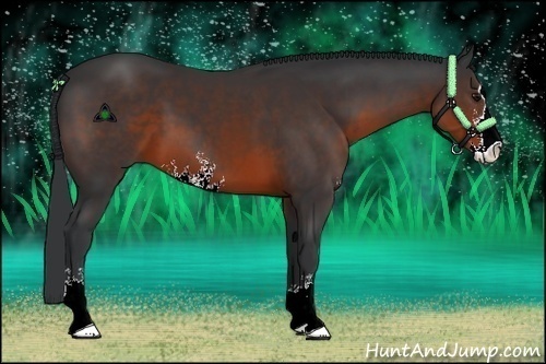 Horse Color:Brown Sabino 