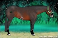 Horse Color:Brown Sabino 