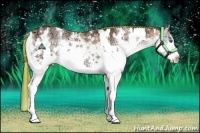 Horse Color:Painted White Spotted Blue Onyx Ice Splash Tobiano Rabicano  and Painted White Spotted Brown Ice Pearl Onyx Splash Rabicano 