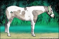 Horse Color:Grullo Ice Onyx Sabino Splash Tobiano 