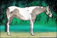 Horse Color:Grullo Onyx Sabino Tobiano 