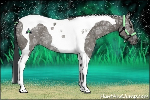 Horse Color:Grullo Ice Tobiano Rabicano