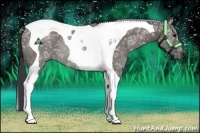 Horse Color:Grullo Ice Tobiano Rabicano 