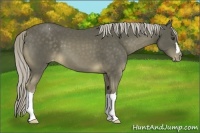 Horse Color:Chocolate Palomino Mushroom Varnish 