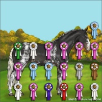 Horse Color:White Spotted Liver Chestnut Mushroom Appaloosa 