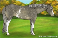 Horse Color:White Spotted Chocolate Palomino Mushroom Varnish