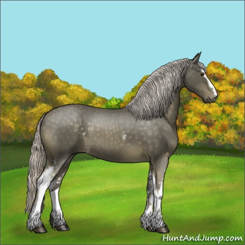 Horse Color:White Spotted Chocolate Palomino
