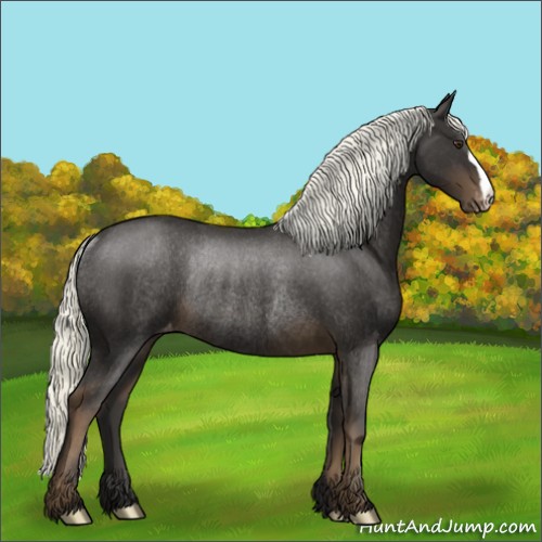 Horse Color:Liver Chestnut Appaloosa Rabicano 