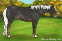 Horse Color:Liver Chestnut Mushroom Varnish 