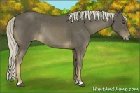 Horse Color:Chocolate Palomino Mushroom Varnish Rabicano 