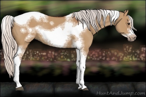 Horse Color:Silver Bay Dun Sabino Tobiano Frame Rabicano