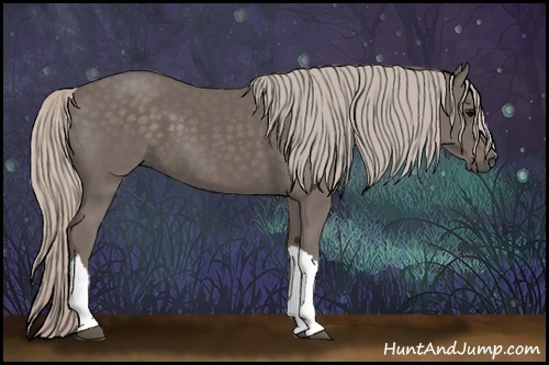 Horse Color:Silver Black