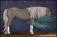 Horse Color:Silver Black 
