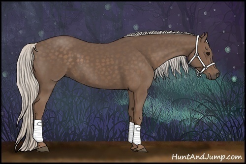 Horse Color:Silver Black 